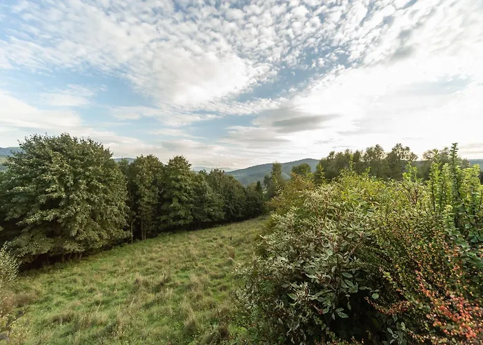 Widok Prázdninový dům Międzybrodzie Bialskie